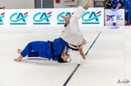 Judo Pro League