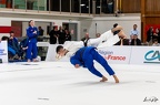 Judo Pro League