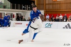 Judo Pro League